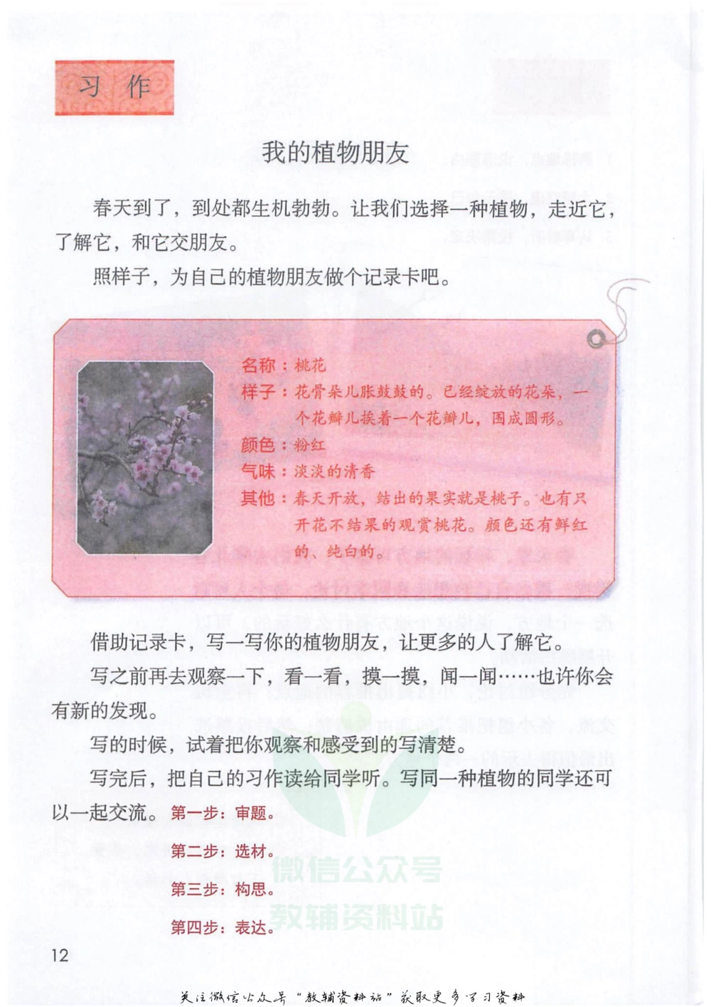 三年级下册语文部编版课堂笔记（抖音版）_小学初中学霸笔记类资料汇总6.33GB_小学同步课堂笔记2.76GB_1~6年级全册语文部编版课堂笔记