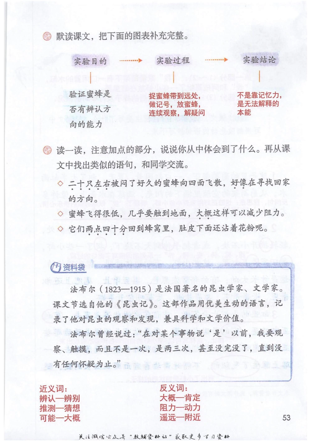 三年级下册语文部编版课堂笔记（抖音版）_小学初中学霸笔记类资料汇总6.33GB_小学同步课堂笔记2.76GB_1~6年级全册语文部编版课堂笔记