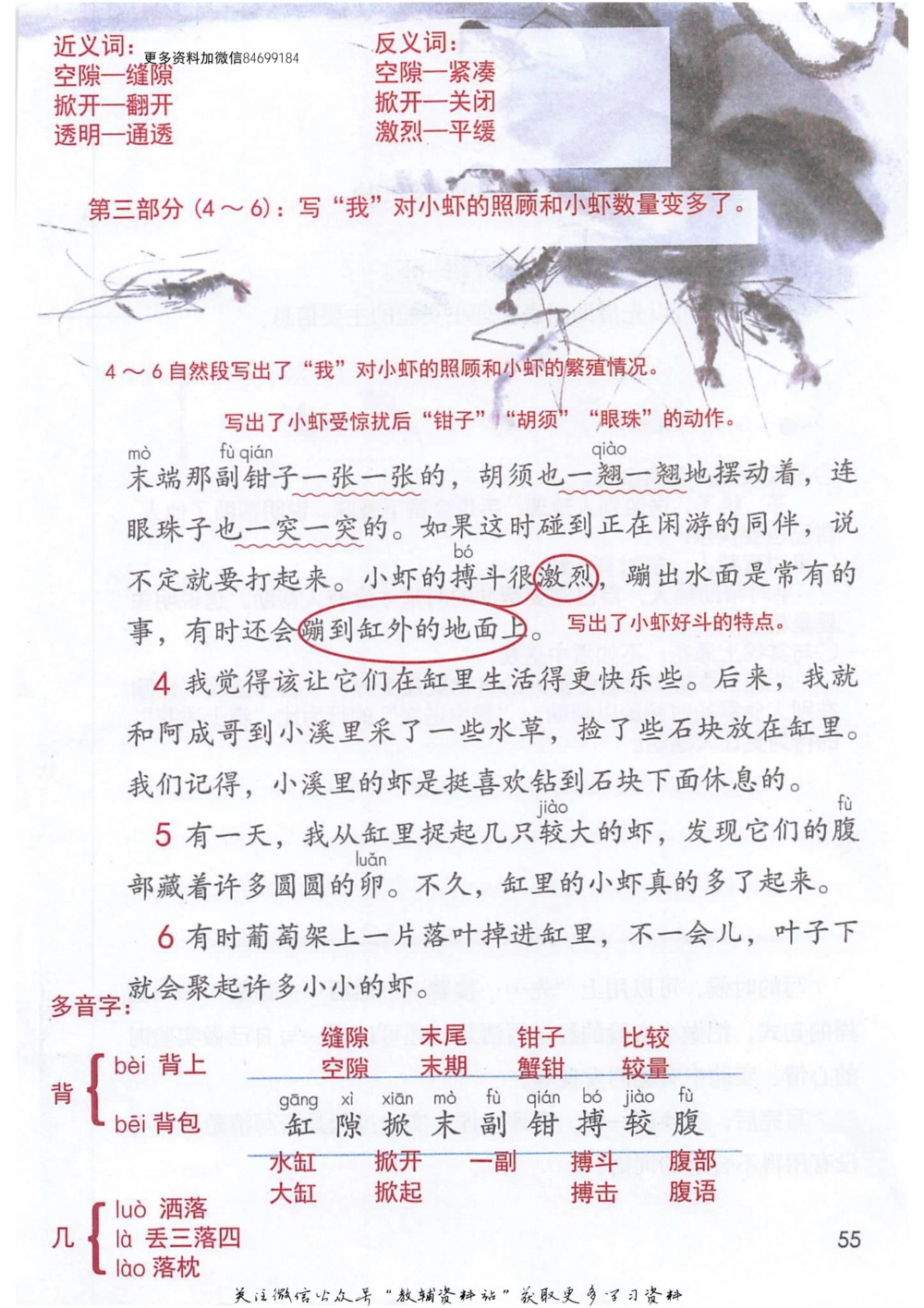 三年级下册语文部编版课堂笔记（抖音版）_小学初中学霸笔记类资料汇总6.33GB_小学同步课堂笔记2.76GB_1~6年级全册语文部编版课堂笔记