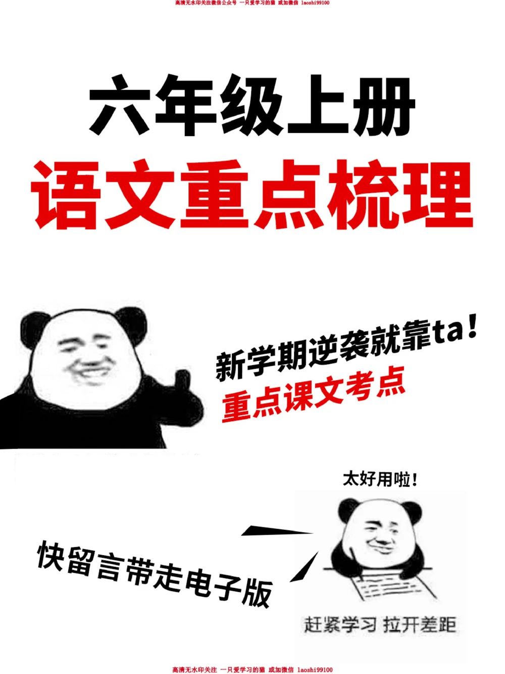 新学期逆袭-六年级语文重点梳理_2025抖音最火小学全科全年级资料大全集超完整版_小学语文VIP资源禁止外传