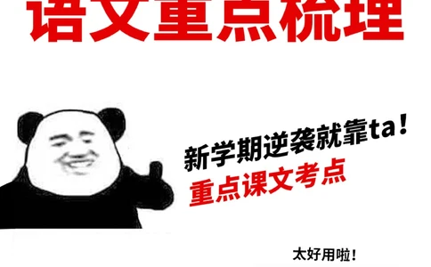 新学期逆袭-六年级语文重点梳理_2025抖音最火小学全科全年级资料大全集超完整版_小学语文VIP资源禁止外传