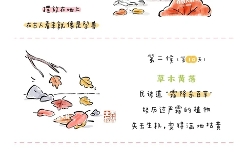 带孩子了解24节气&mdash;&mdash;霜降_中小学精品资料(高清可打印)_常识知识大全集140份高清资料整理版