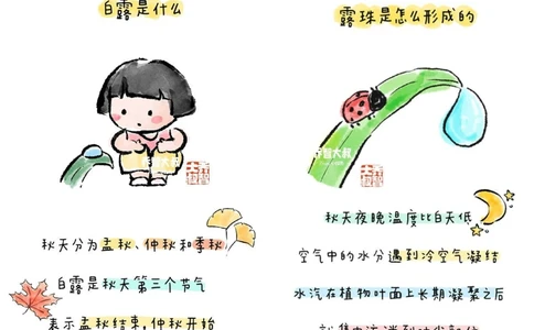 带孩子了解二十四节气&mdash;&mdash;白露_中小学精品资料(高清可打印)_常识知识大全集140份高清资料整理版