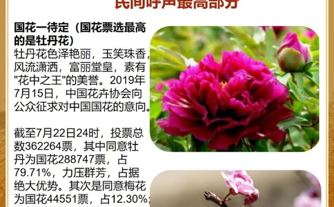 有关祖国知多少！国花、国鸟&hellip;你选哪一个？_中小学精品资料(高清可打印)_百科知识大全集312份高清资料整理版