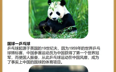 有关祖国知多少！国花、国鸟&hellip;你选哪一个？_中小学精品资料(高清可打印)_百科知识大全集312份高清资料整理版