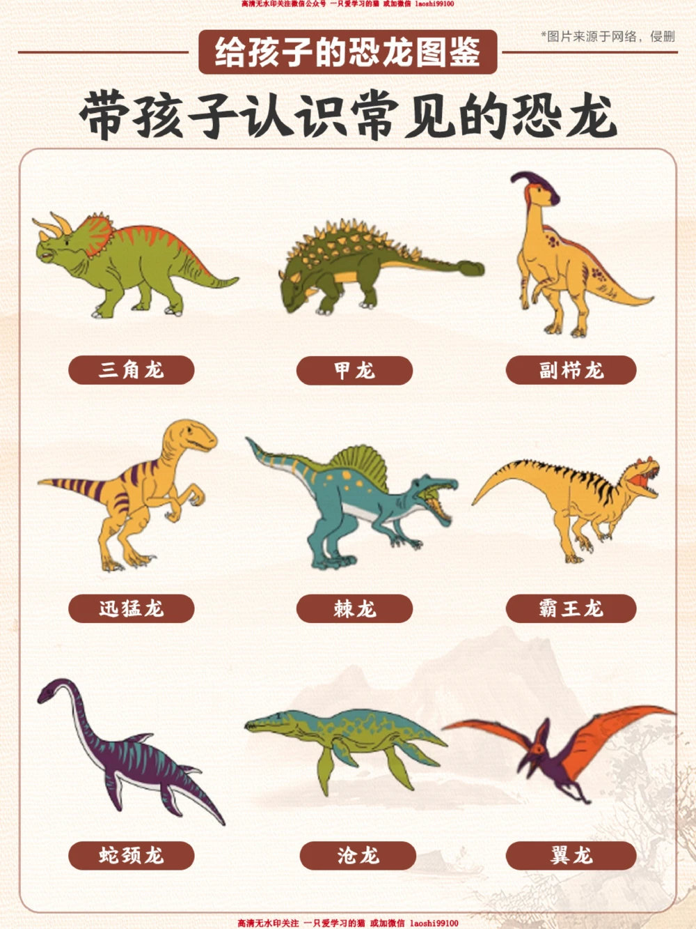 常见的恐龙类型-你家孩子认出来几个？_2025抖音最火小学全科全年级资料大全集超完整版_小学常识VIP资源禁止外传
