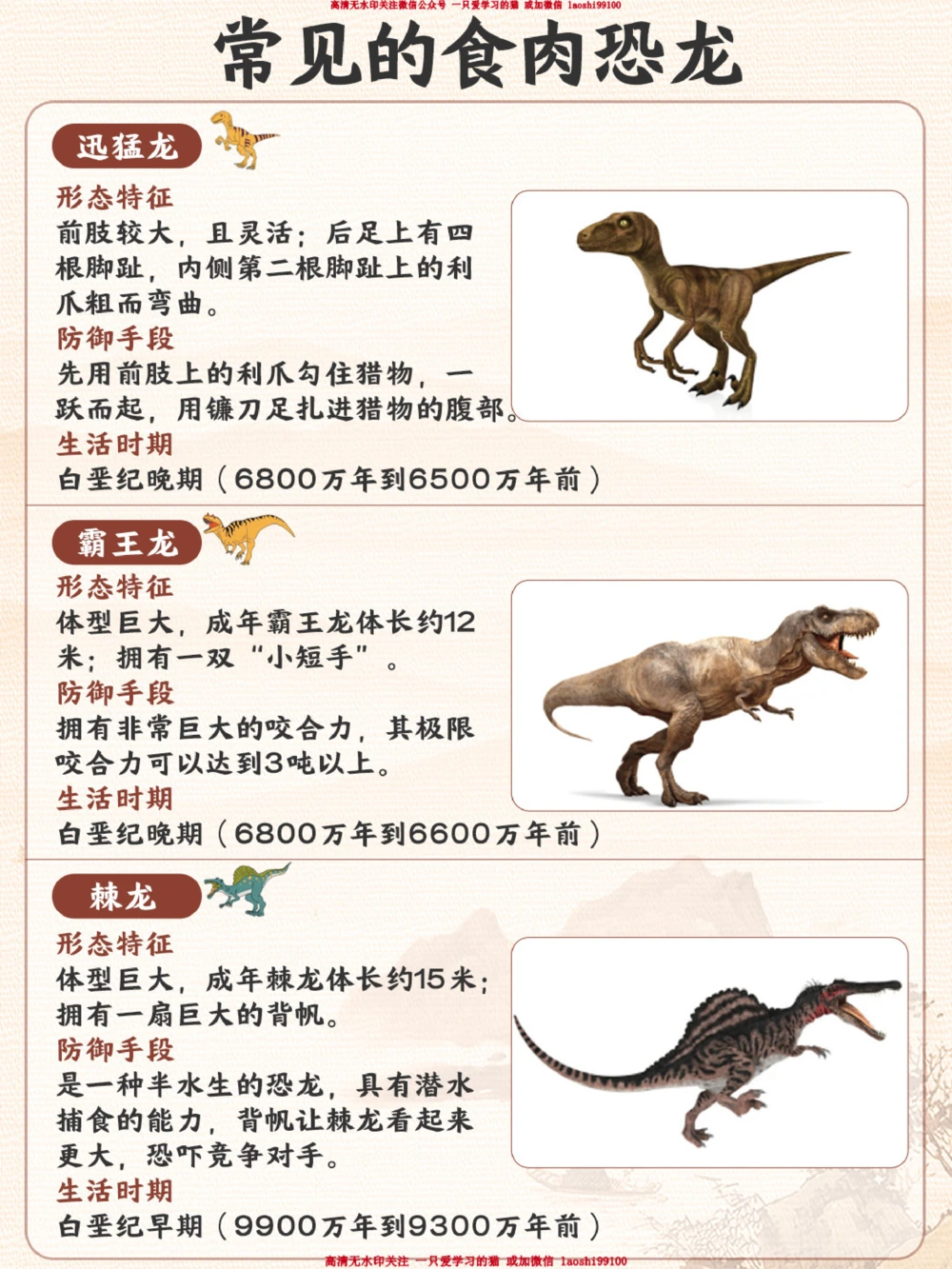 常见的恐龙类型-你家孩子认出来几个？_2025抖音最火小学全科全年级资料大全集超完整版_小学常识VIP资源禁止外传