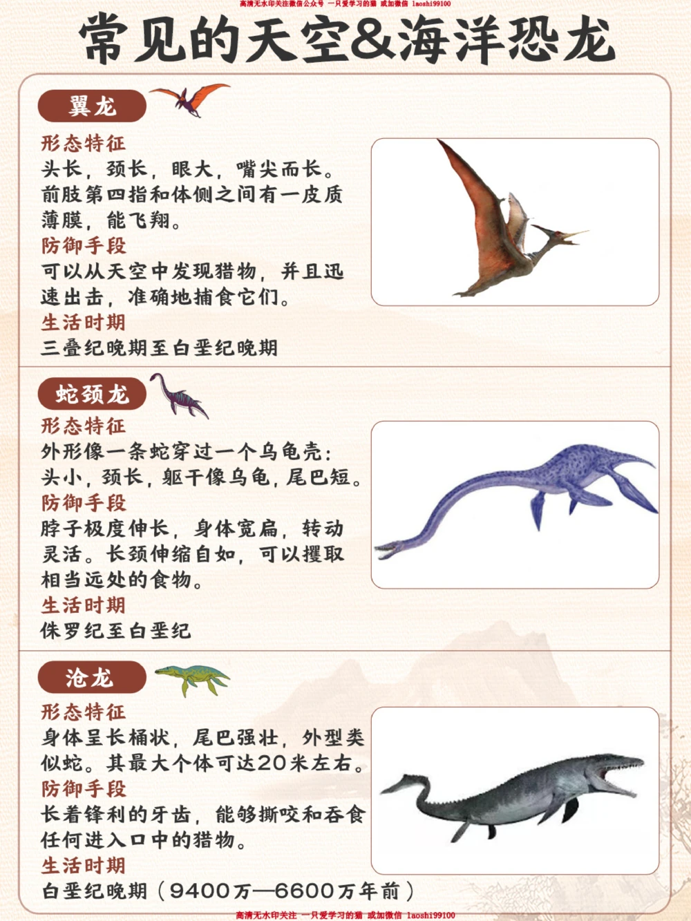 常见的恐龙类型-你家孩子认出来几个？_2025抖音最火小学全科全年级资料大全集超完整版_小学常识VIP资源禁止外传