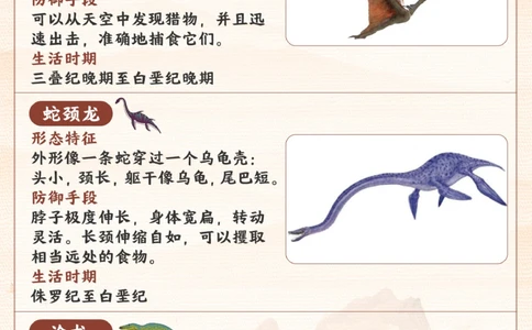 常见的恐龙类型-你家孩子认出来几个？_2025抖音最火小学全科全年级资料大全集超完整版_小学常识VIP资源禁止外传