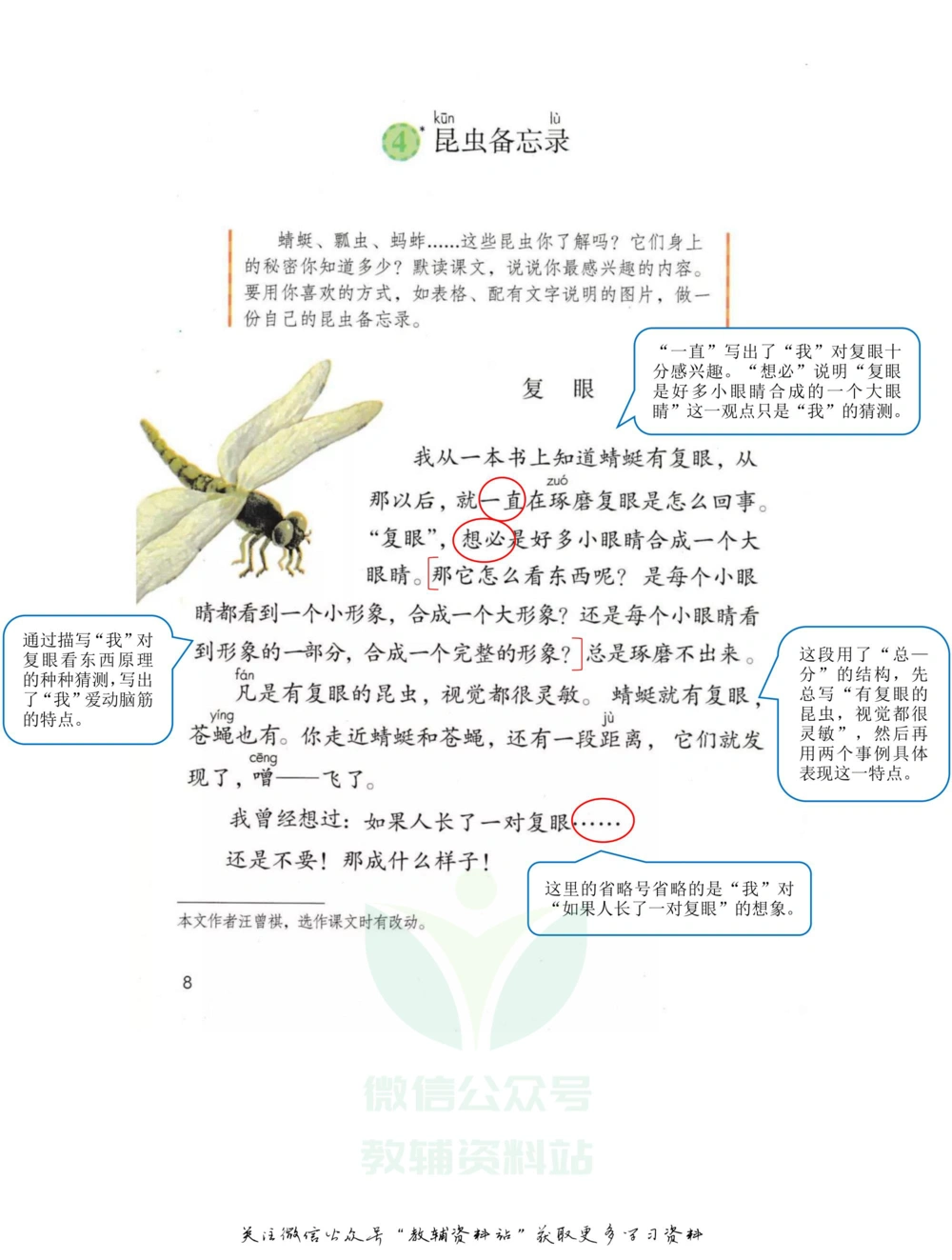 三年级下册语文部编版课堂笔记（飞翔版）_小学初中学霸笔记类资料汇总6.33GB_小学同步课堂笔记2.76GB_1~6年级全册语文部编版课堂笔记