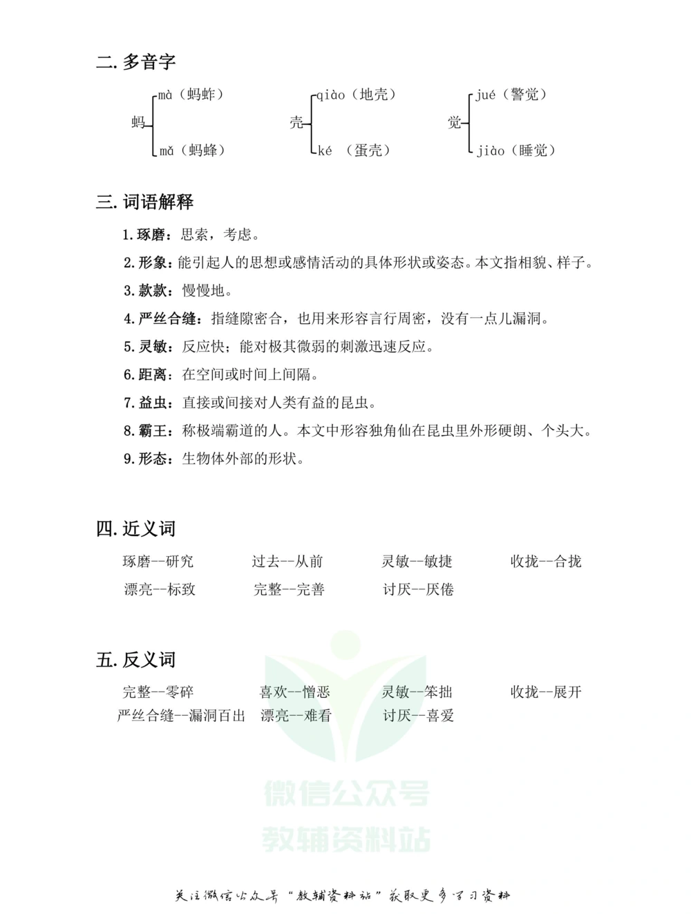 三年级下册语文部编版课堂笔记（飞翔版）_小学初中学霸笔记类资料汇总6.33GB_小学同步课堂笔记2.76GB_1~6年级全册语文部编版课堂笔记