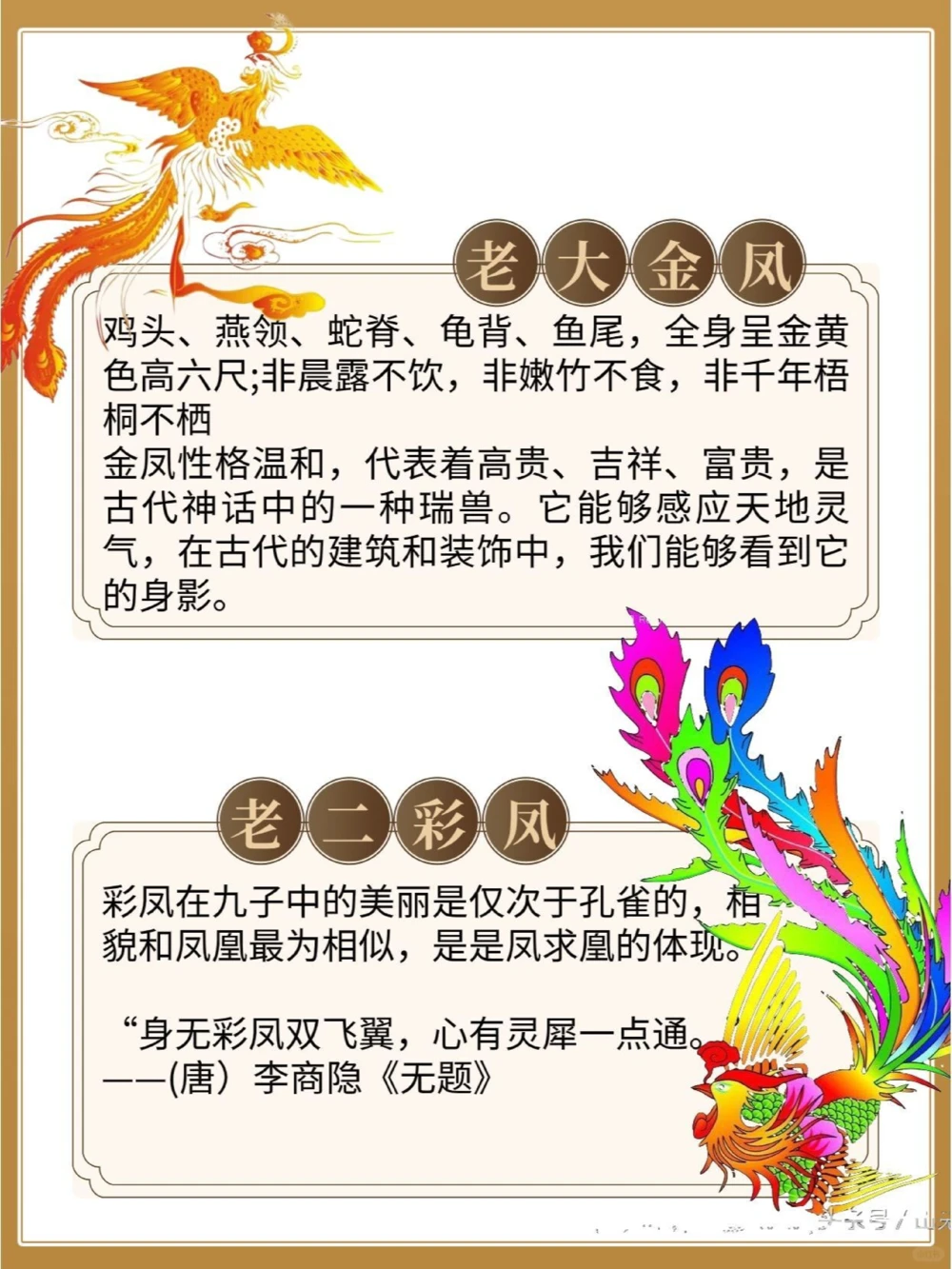 凤育九雏哪是九雏只有10%的人知道_中小学精品资料(高清可打印)_百科知识大全集312份高清资料整理版