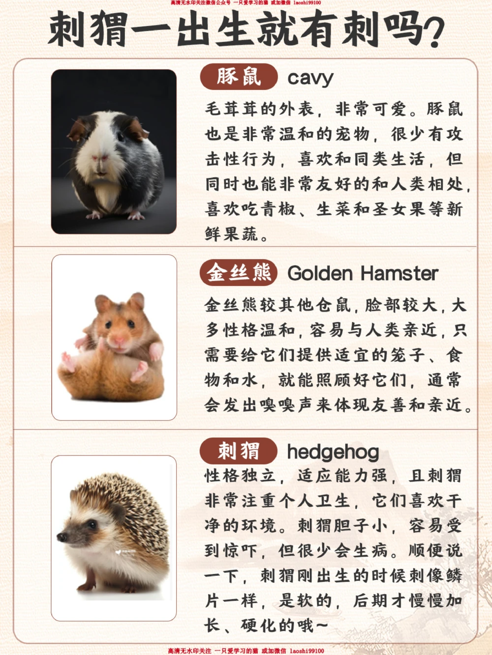 带孩子学习冷门可爱宠物丨小学语文课本拓展_2025抖音最火小学全科全年级资料大全集超完整版_小学语文VIP资源禁止外传