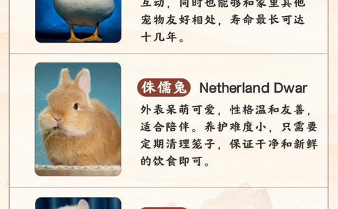 带孩子学习冷门可爱宠物丨小学语文课本拓展_2025抖音最火小学全科全年级资料大全集超完整版_小学语文VIP资源禁止外传