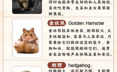 带孩子学习冷门可爱宠物丨小学语文课本拓展_2025抖音最火小学全科全年级资料大全集超完整版_小学语文VIP资源禁止外传