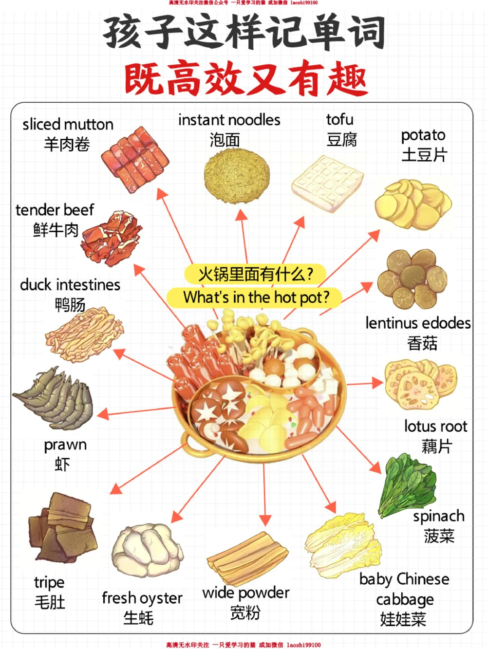 孩子记单词高效又有趣-火锅里面有什么？_2025抖音最火小学全科全年级资料大全集超完整版_小学英语VIP资源禁止外传