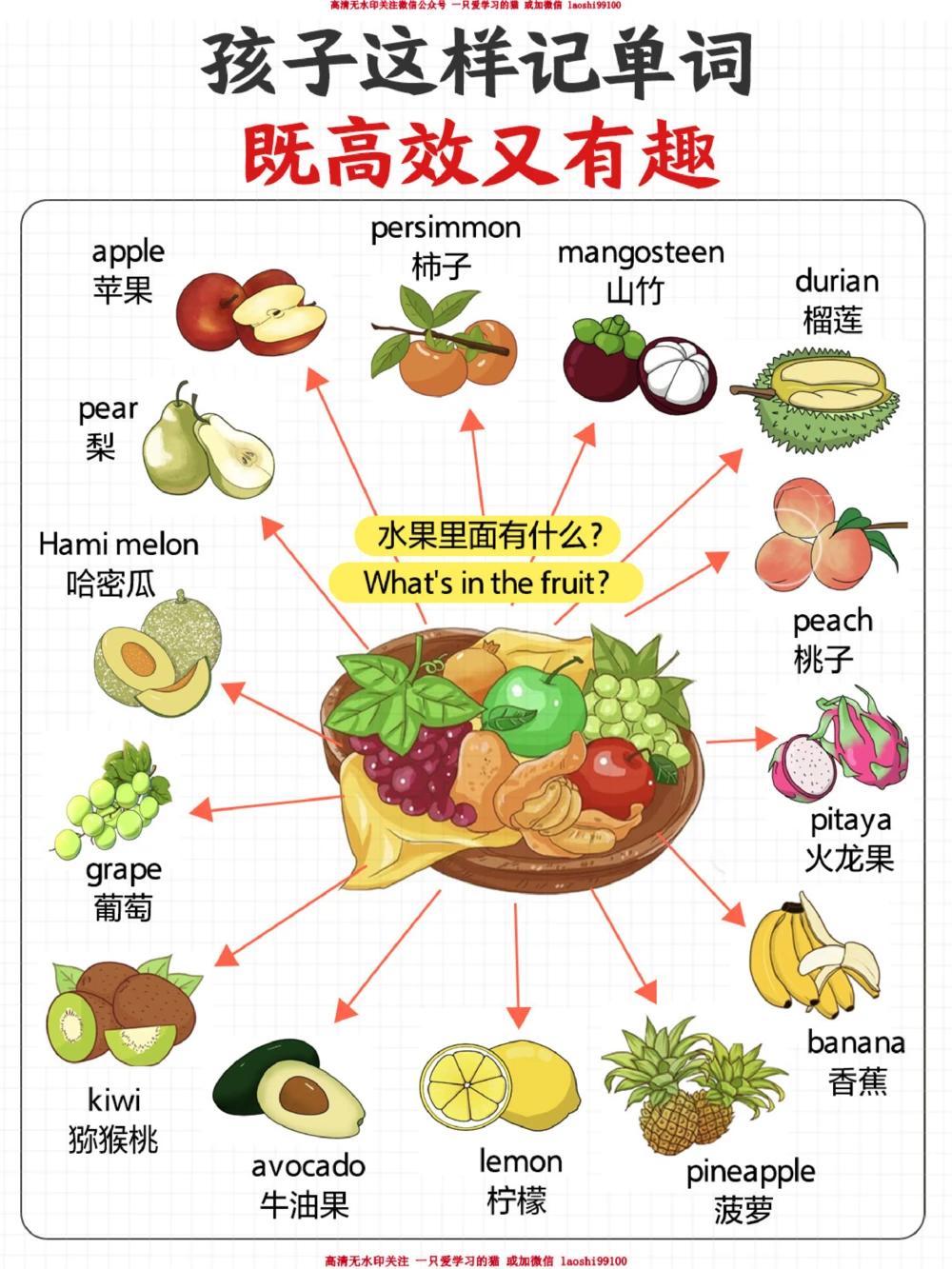 孩子记单词高效又有趣-火锅里面有什么？_2025抖音最火小学全科全年级资料大全集超完整版_小学英语VIP资源禁止外传