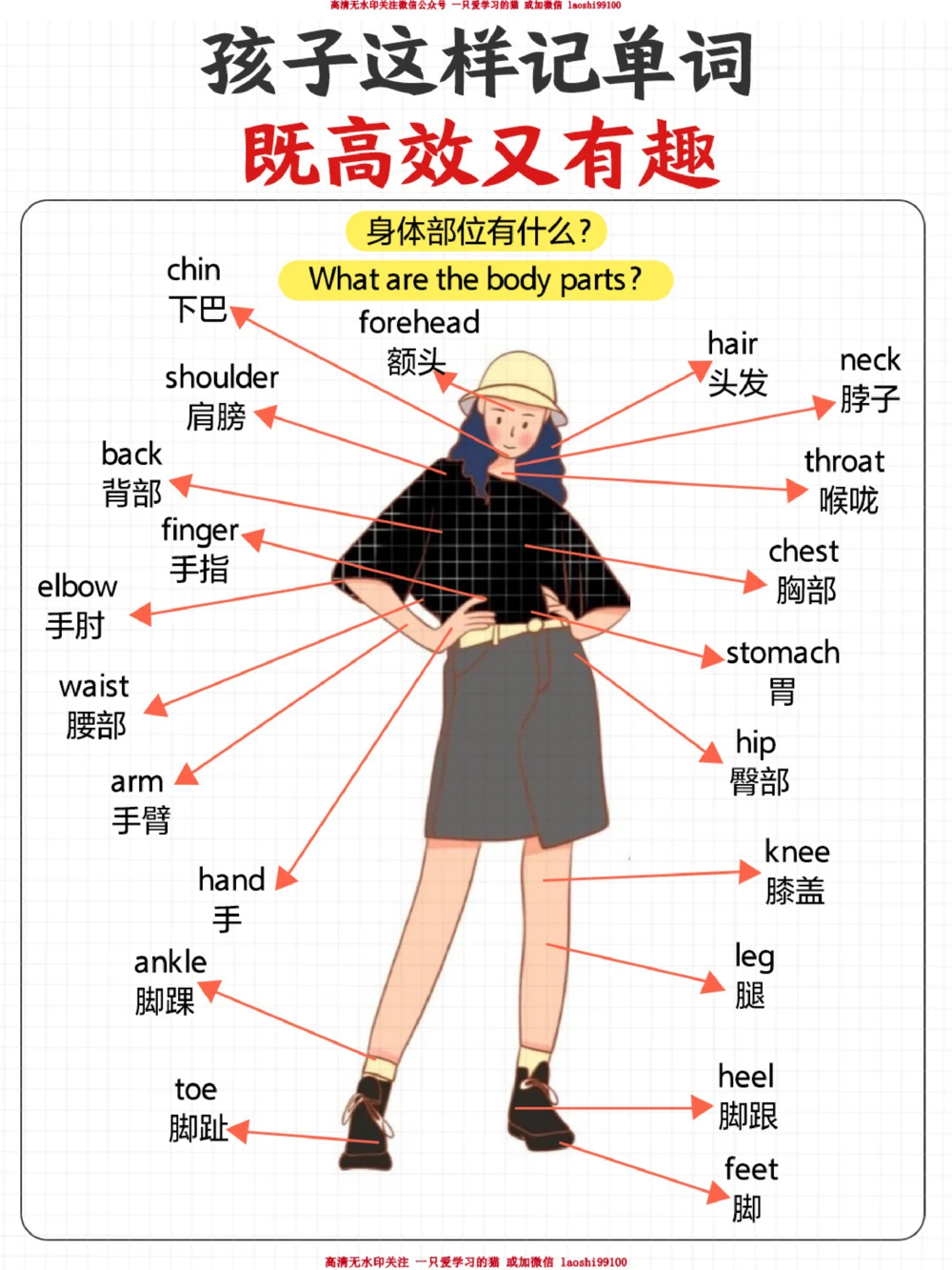 孩子记单词高效又有趣-火锅里面有什么？_2025抖音最火小学全科全年级资料大全集超完整版_小学英语VIP资源禁止外传