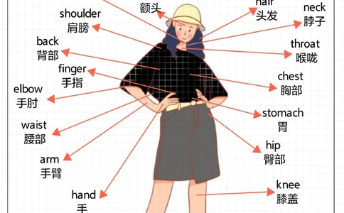 孩子记单词高效又有趣-火锅里面有什么？_2025抖音最火小学全科全年级资料大全集超完整版_小学英语VIP资源禁止外传