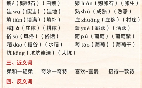 暑期及开学预习用-四下语文知识点全汇总_2025抖音最火小学全科全年级资料大全集超完整版_小学语文VIP资源禁止外传