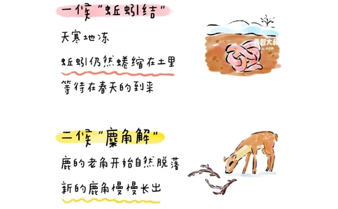 带孩子了解24节气&mdash;&mdash;冬至_中小学精品资料(高清可打印)_常识知识大全集140份高清资料整理版