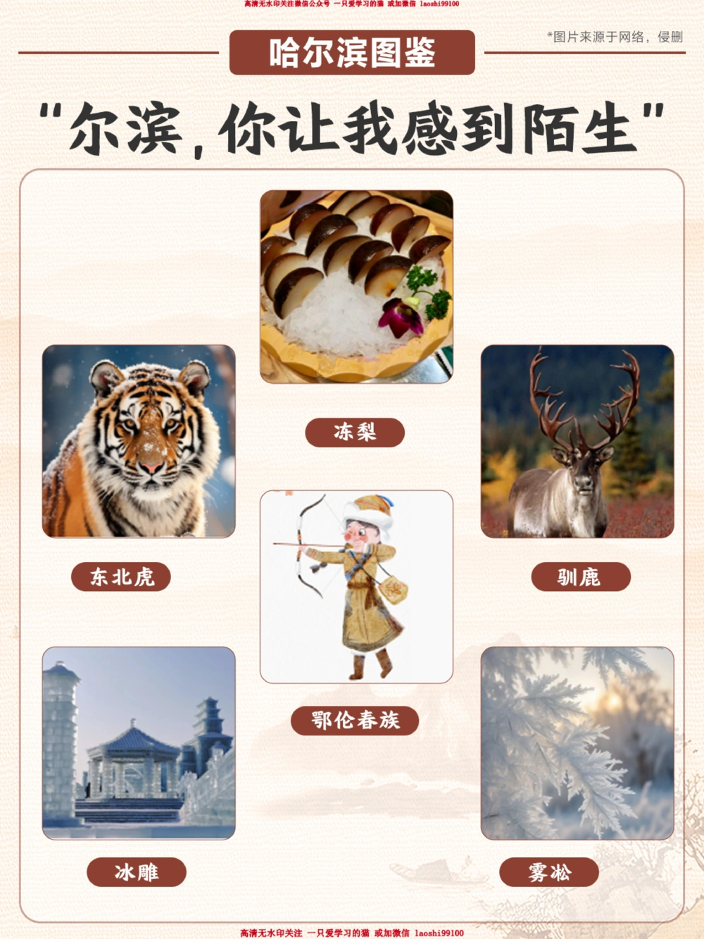 爆火城市哈尔滨的这些内容-快给孩子看看_2025抖音最火小学全科全年级资料大全集超完整版_学习方法VIP资源禁止外传