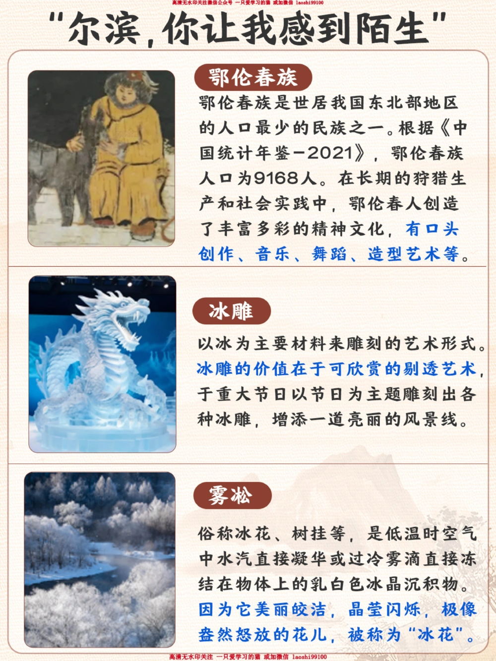 爆火城市哈尔滨的这些内容-快给孩子看看_2025抖音最火小学全科全年级资料大全集超完整版_学习方法VIP资源禁止外传