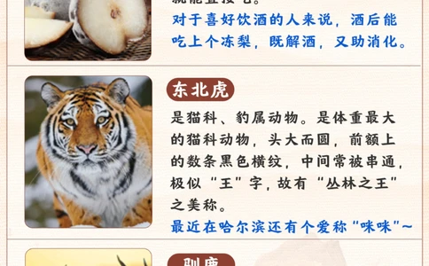 爆火城市哈尔滨的这些内容-快给孩子看看_2025抖音最火小学全科全年级资料大全集超完整版_学习方法VIP资源禁止外传