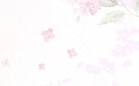 015.粉色花束_表格式_适用于应届生_2页式_无内容_无封面_26考研复试_10考研复试资料25_考研经典面试系列（复试技巧调剂指导口语指导自我介绍导师模板）_简历模板大全