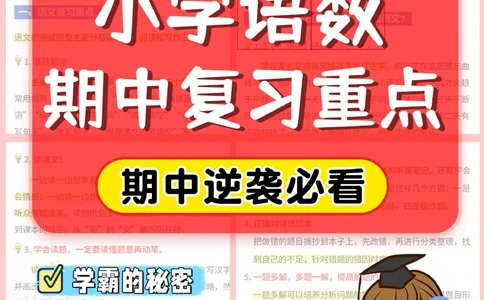 期中逆袭就靠它-小学期中复习重点_2025抖音最火小学全科全年级资料大全集超完整版_学习方法VIP资源禁止外传