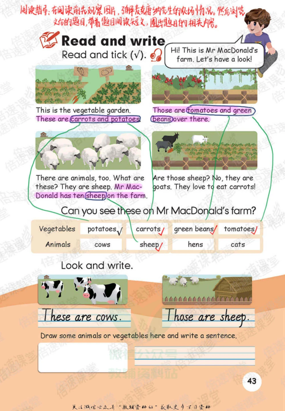 四年级下册英语人教PEP版课堂笔记_小学初中学霸笔记类资料汇总6.33GB_小学同步课堂笔记2.76GB_3~6年级全册英语人教PEP版课堂笔记