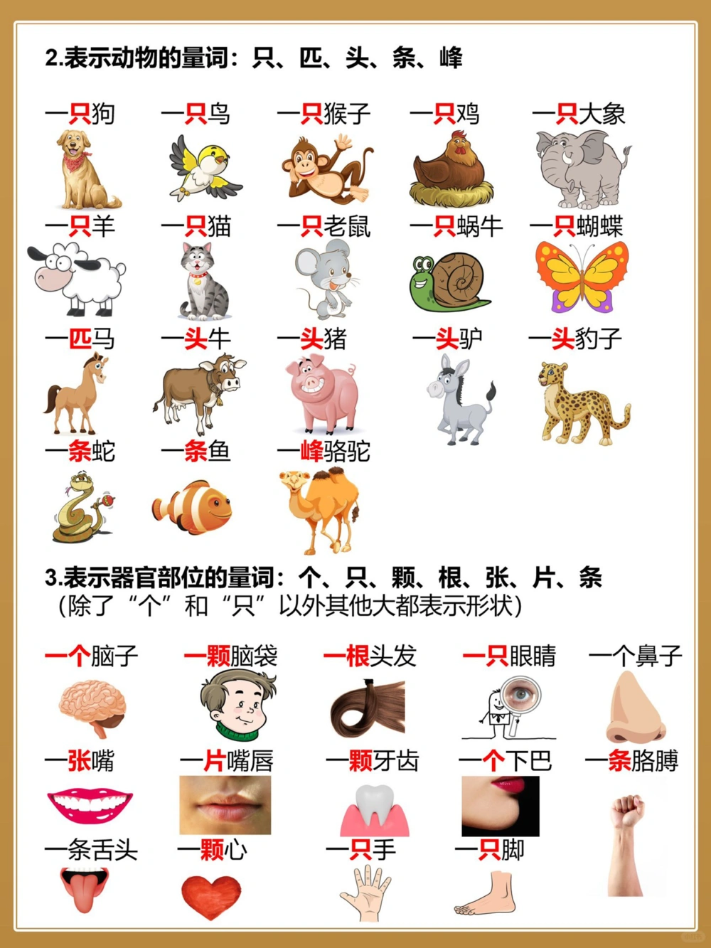 一篇就弄明白有趣的量词～_中小学精品资料(高清可打印)_百科知识大全集312份高清资料整理版