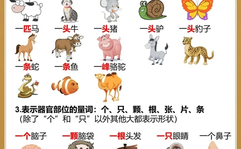 一篇就弄明白有趣的量词～_中小学精品资料(高清可打印)_百科知识大全集312份高清资料整理版