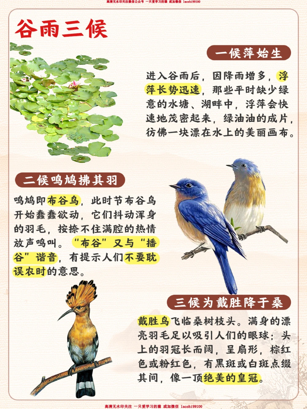 今天谷雨-雨生百谷，给孩子讲讲谷雨知识_2025抖音最火小学全科全年级资料大全集超完整版_小学常识VIP资源禁止外传