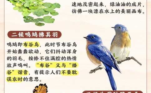 今天谷雨-雨生百谷，给孩子讲讲谷雨知识_2025抖音最火小学全科全年级资料大全集超完整版_小学常识VIP资源禁止外传