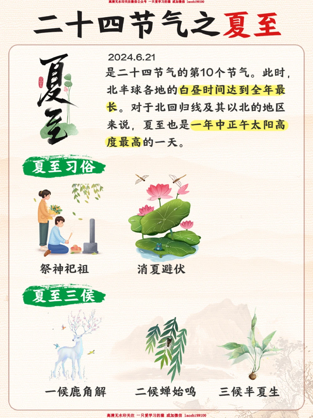 二十四节气-带孩子了解夏至！_2025抖音最火小学全科全年级资料大全集超完整版_小学常识VIP资源禁止外传