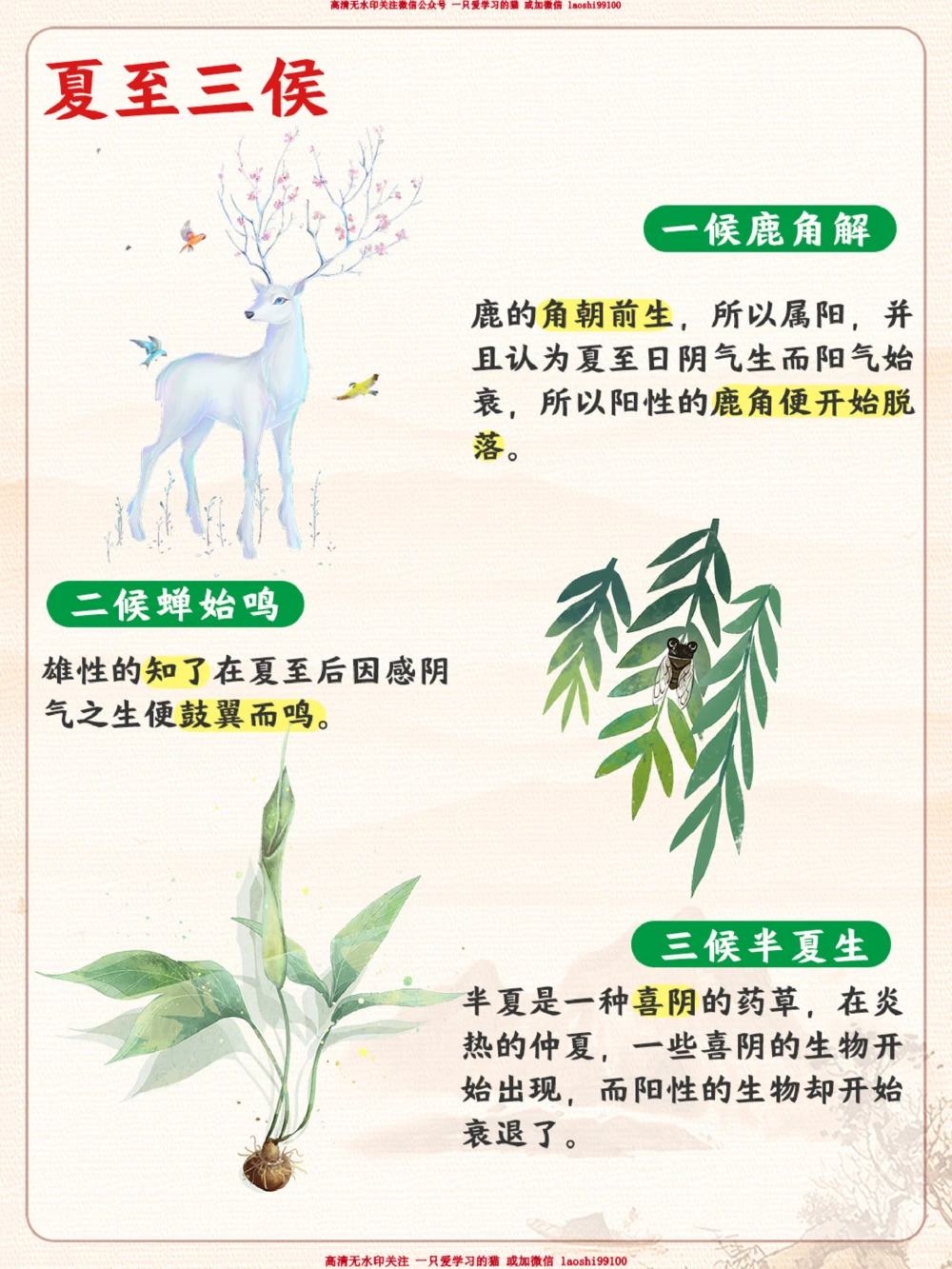 二十四节气-带孩子了解夏至！_2025抖音最火小学全科全年级资料大全集超完整版_小学常识VIP资源禁止外传