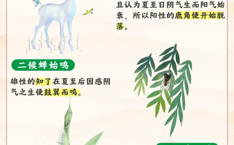 二十四节气-带孩子了解夏至！_2025抖音最火小学全科全年级资料大全集超完整版_小学常识VIP资源禁止外传