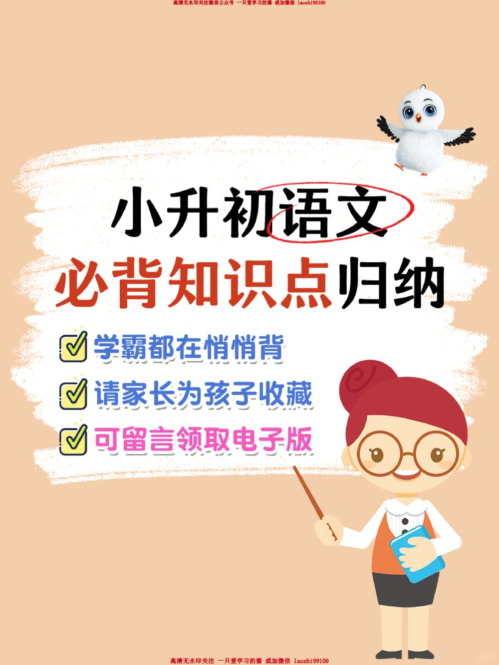 小升初语文常考知识点汇总-高分必背_2025抖音最火小学全科全年级资料大全集超完整版_小学语文VIP资源禁止外传