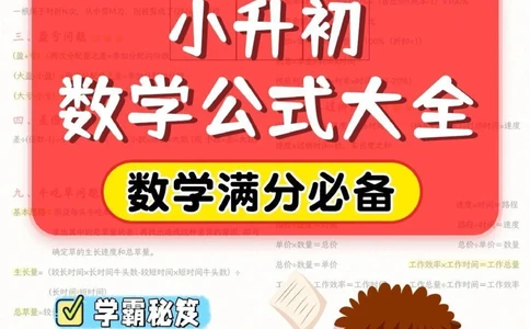 干货-小升初数学公式大全_2025抖音最火小学全科全年级资料大全集超完整版_小学数学VIP资源禁止外传