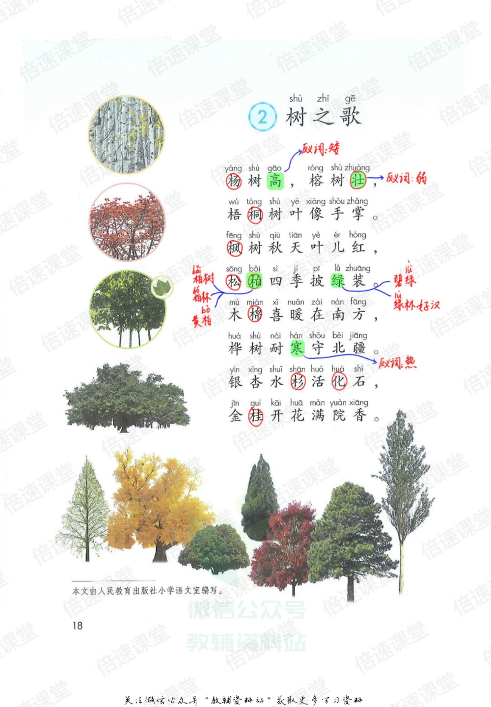 二年级上册语文部编版课堂笔记（倍速版）_小学初中学霸笔记类资料汇总6.33GB_小学同步课堂笔记2.76GB_1~6年级全册语文部编版课堂笔记