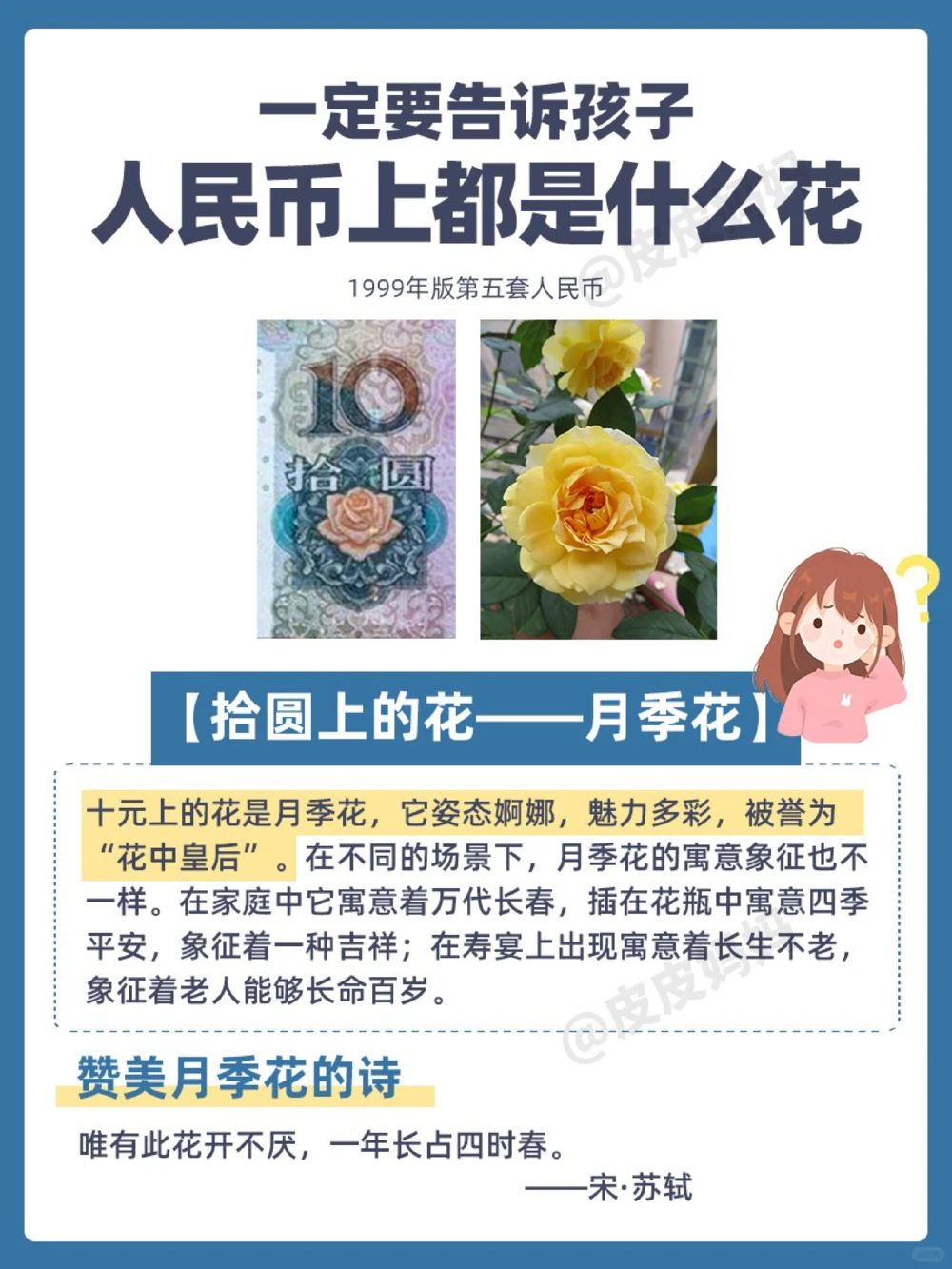 人民币上的花都是什么花？一定要告诉孩子！_中小学精品资料(高清可打印)_百科知识大全集312份高清资料整理版