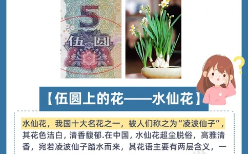 人民币上的花都是什么花？一定要告诉孩子！_中小学精品资料(高清可打印)_百科知识大全集312份高清资料整理版