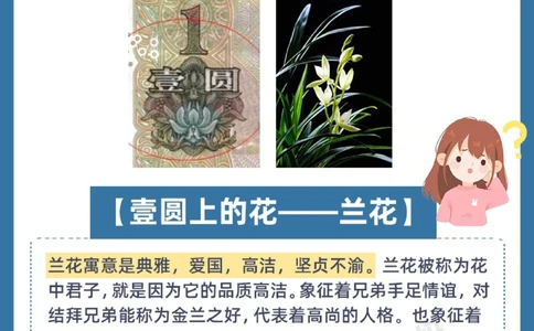 人民币上的花都是什么花？一定要告诉孩子！_中小学精品资料(高清可打印)_百科知识大全集312份高清资料整理版
