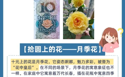 人民币上的花都是什么花？一定要告诉孩子！_中小学精品资料(高清可打印)_百科知识大全集312份高清资料整理版