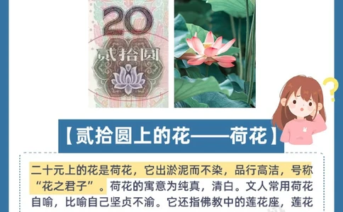人民币上的花都是什么花？一定要告诉孩子！_中小学精品资料(高清可打印)_百科知识大全集312份高清资料整理版
