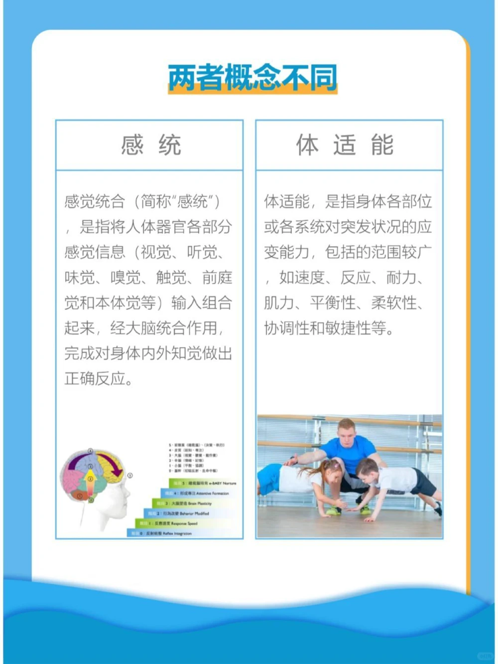感统VS体适能的区别在哪_中小学精品资料(高清可打印)_常识知识大全集140份高清资料整理版