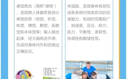 感统VS体适能的区别在哪_中小学精品资料(高清可打印)_常识知识大全集140份高清资料整理版