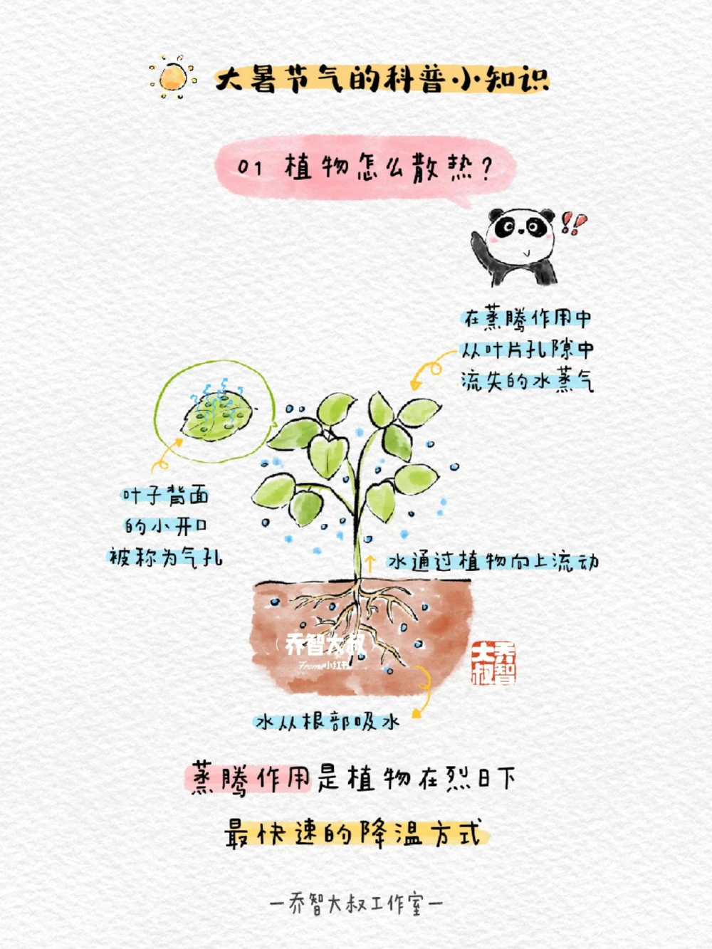 带孩子们了解24节气&mdash;&mdash;大暑_中小学精品资料(高清可打印)_常识知识大全集140份高清资料整理版