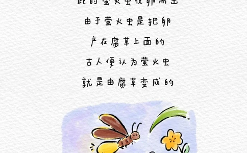 带孩子们了解24节气&mdash;&mdash;大暑_中小学精品资料(高清可打印)_常识知识大全集140份高清资料整理版
